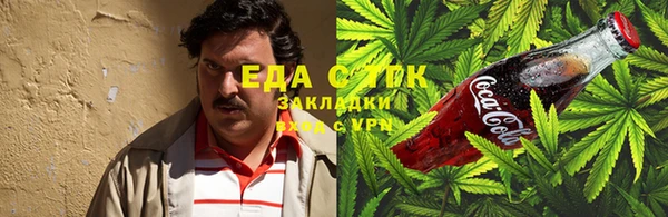 молекула духа Михайлов
