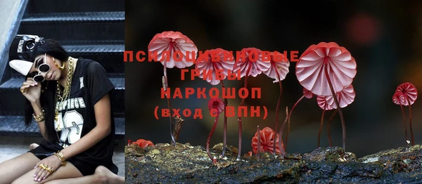 молекула духа Михайлов